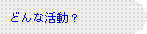 どんな活動？